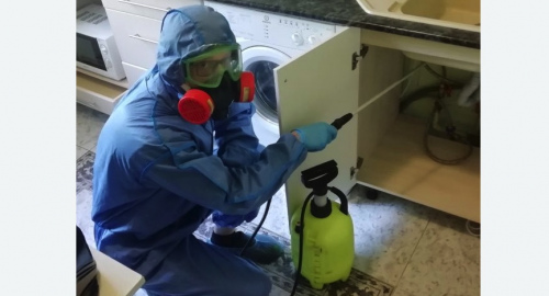 Уничтожение муравьев в квартире. Фрязино