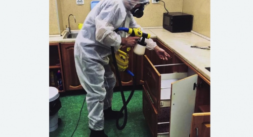 Уничтожение насекомых в квартире. Фрязино