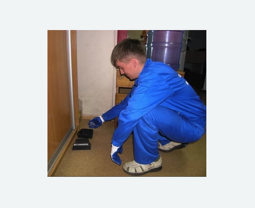 Дератизация крыс в Фрязино