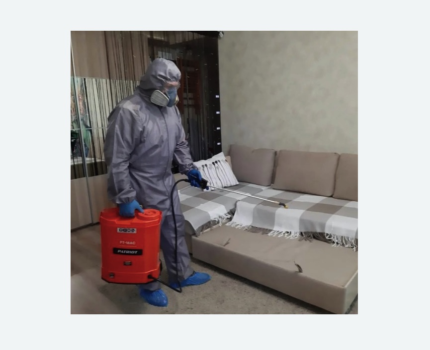 Обработка квартиры от блох в Фрязино Обработка квартиры от блох