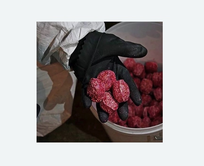 Обработка от крыс в Фрязино