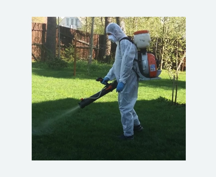 Обработка участка от клещей в Фрязино Обработка участка от клещей