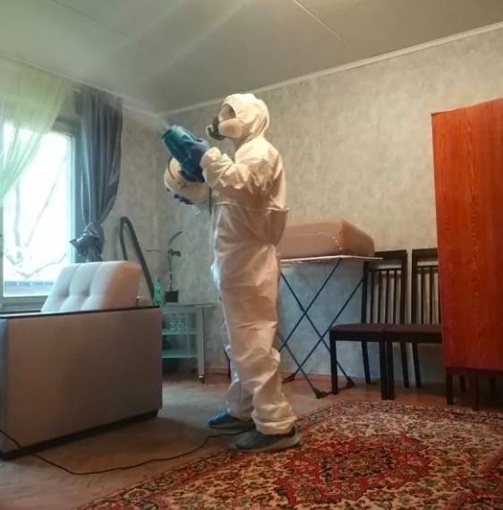 дезинсекция квартиры в Фрязино