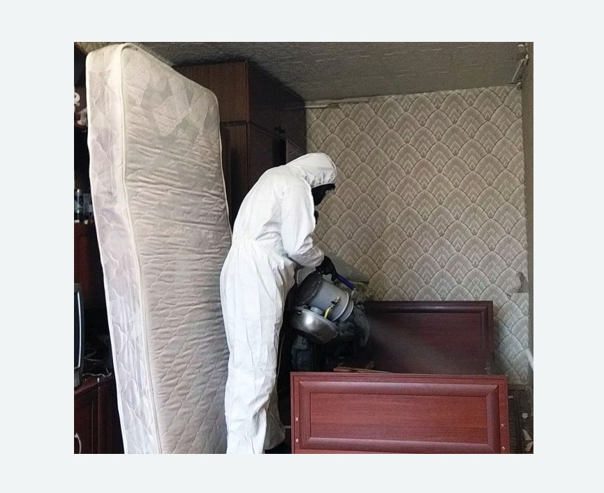 дезинфекция от клопов в Фрязино