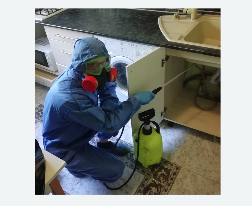 обработка от муравьев в квартире обработка от муравьев в квартире в Фрязино