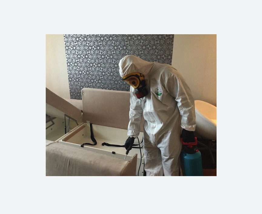 уничтожение клопов в квартире в Фрязино