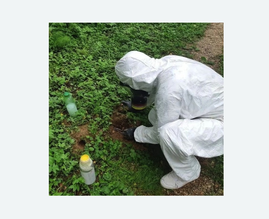 уничтожение кротов на участке в Фрязино