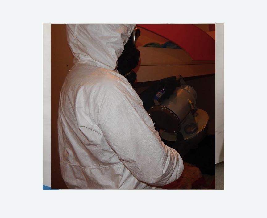 Дезинфекция от муравьев Дезинфекция от муравьев в Фрязино