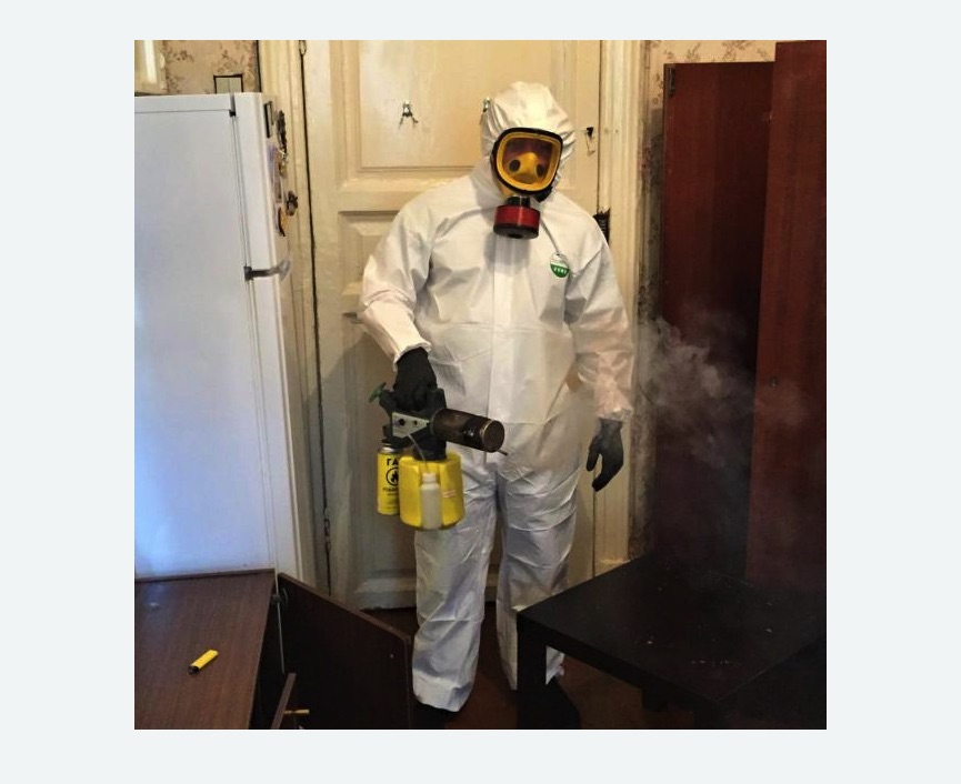 уничтожение муравьев в квартире уничтожение муравьев в квартире в Фрязино